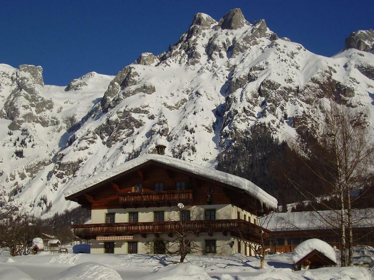 Ferienwohnung Oerglgut Werfenweng Exterior foto