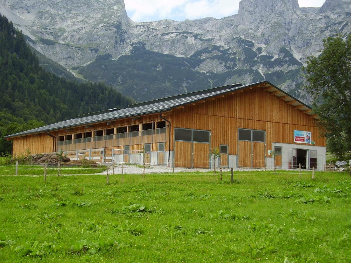 Ferienwohnung Oerglgut Werfenweng Exterior foto